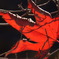 紅一葉