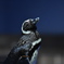 ペンギン♪