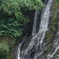 DSC00641
