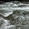 DSC00617