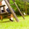 あの夏の日に