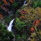 不動の滝　紅葉