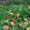 アンデルセン公園