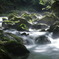 残暑お見舞い申し上げます～芹川上流にて