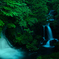 深緑の滝