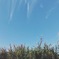 空