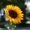 589A8262-9687-4BBD-AE7D-3A8B5152FDA0