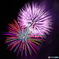 hanabi_2...。