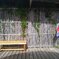 残暑御見舞申しあげます♪