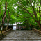 京都 龍安寺