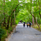 京都 龍安寺