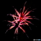 hanabi_12...。