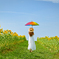 夏空と向日葵と虹色傘