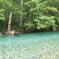 上高地の水