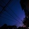 夕飯なんだろう