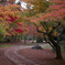 紅葉_06
