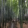 街散歩5