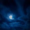 蒼夜