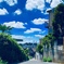 夏めく坂道