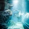 Aquarium 2