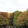 上野公園パレット