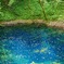青池