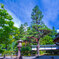 定勝寺