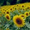 AB10D111-9F44-4058-AE1C-5A87A97257D9