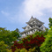郡上八幡城
