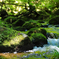 流れ