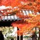 東福寺