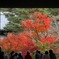 南禅寺