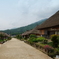 西街道散歩道　