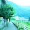 湯本 路地裏