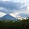 朝露と富士