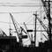 Shipyard