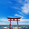 守り神の夏