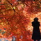 momiji