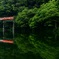 赤タラreflection