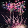 私の好きな花火２