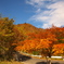 梅が島阿部峠紅葉ドライブ