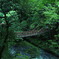 旅HITO　～かずら橋～