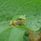 P1170345　会えたね♪
