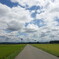 夏の雲と田んぼ
