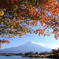 田貫湖  koyo 富士山
