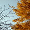 2010_11210034