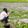 夏の花に囲まれて