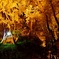 真夏の夜の紅葉