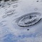 雨の波紋と青空リフレ