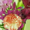 760DEAB3-CE05-4A7C-9703-E82ED5E14E7B